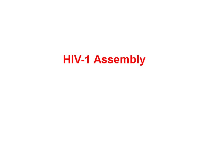 HIV-1 Assembly